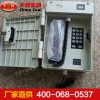 GY-KY數(shù)字抗噪聲擴(kuò)音電話