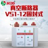 廠家直銷真空斷路器固封式VS1-12真空斷路器固封極柱式