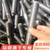T型扣絲桿 鍍鋅絲桿 熱鍍鋅絲桿 8.8級發黑 加工定制 各種異型絲桿