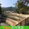 防腐竹片批發(fā)裝修裝潢裝飾竹條毛竹片黃竹塊楠竹片板