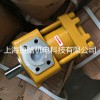 折彎機專用液壓油泵 NT4-G50F內嚙合齒輪泵