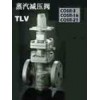 日本TLV閥門，日本TLV蒸汽減壓閥