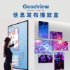 仙視 /Goodview 信息發布播放盒多媒體播放盒 DP10