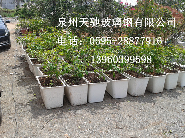 61 公園花盆.jpg