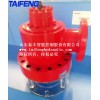 供應(yīng)廠家泰豐充液閥CF1-H200B