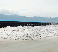 新華發粉體堆料場 (2)