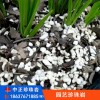 園藝珍珠巖
