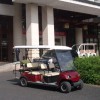 電動高爾夫觀光車品牌綠通電動車工廠直銷