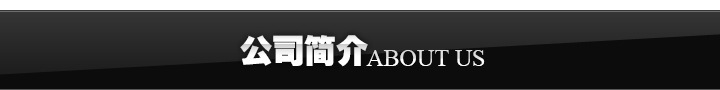 公司簡介橫條