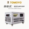 大澤動(dòng)力10KW靜音小型汽油發(fā)電機(jī)