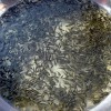 昆明魚苗批發漁場現貨送貨上門