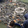 德宏成品魚漁場現貨免費送貨上門
