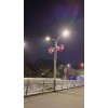 雙臂式LED道路燈簡介及參數(shù)