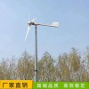 家用風力發電機 風光互補風力發電機全套設備 微風啟動的風力發電機