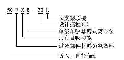 圖片5