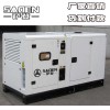 薩登10KW大型柴油發(fā)電機(jī)靜音康明斯柴油發(fā)電機(jī)組
