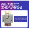 高壓大型立式三相異步電動機(jī)  功率大 噪音低
