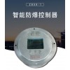 智能防爆控制器 集成度高穩(wěn)定性強(qiáng)