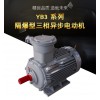 YB3 系列隔爆型三相異步電動機  理想的動力設備