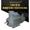YBBP 系列隔爆型變頻三相異步電動機(jī)