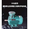 YFB系列高壓粉塵防爆型三相異步電動機(jī)