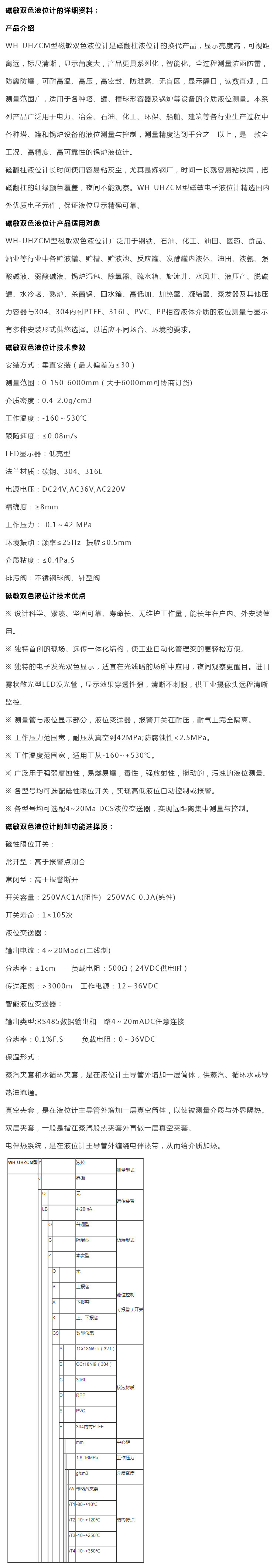 磁敏雙色液位計