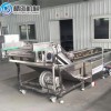果蔬氣泡清洗機(jī) 海帶絲清洗機(jī)械 中央廚房大型凈菜設(shè)備 廠家直銷