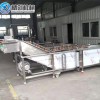 可定制不銹鋼翻浪式清洗機(jī) 柑桔氣泡清洗機(jī) 百香果商用清洗流水線