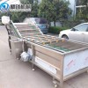 全自動(dòng)果蔬清洗機(jī) 紅棗大棗氣泡清洗機(jī) 多用途蔬菜水果清洗流水線