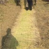 稻夫 公路草苫 養護草簾 草簾 生產廠家 整車發貨