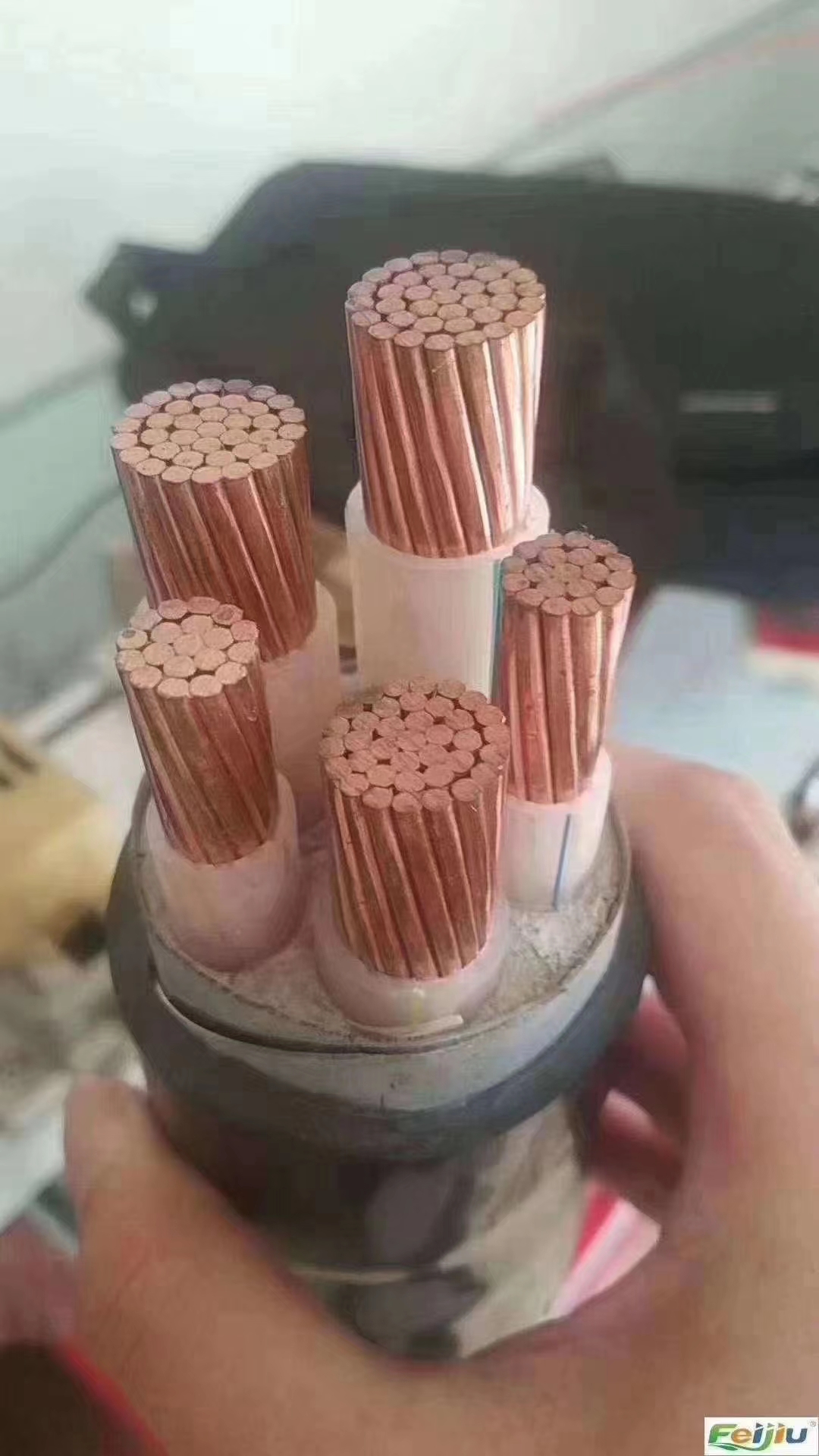 微信圖片_20220512152446