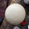 礦山充填材料 陜西礦用充填馬麗散 礦用堵水材料生產(chǎn)廠(chǎng)家