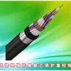 聚氯乙烯絕緣和聚氯乙烯護(hù)套控制電纜