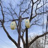 山東菏澤4米60瓦LED庭院燈參數(shù) 天光燈具