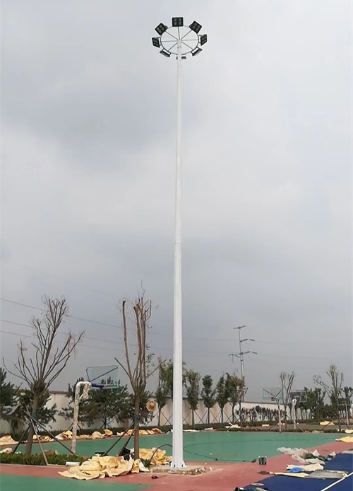 高桿燈 (15)