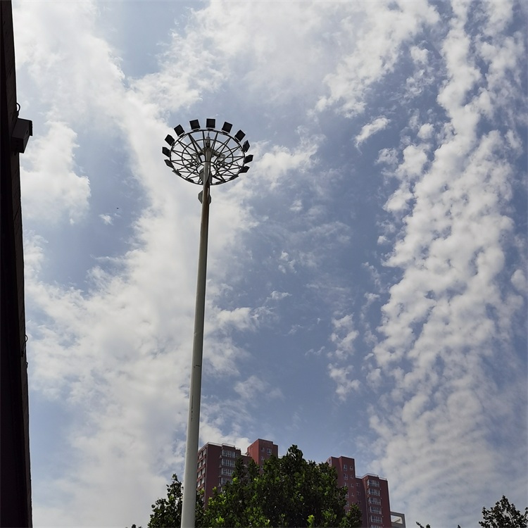高桿燈 (43)
