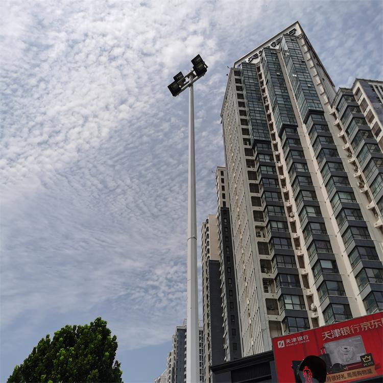 高桿燈 (8)